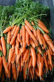 Carrot